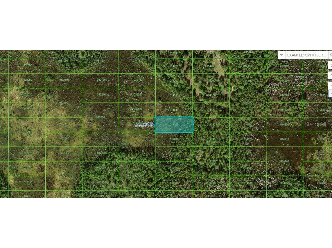 Old Grade Rd Polk City FL 33868 O6265128 image2