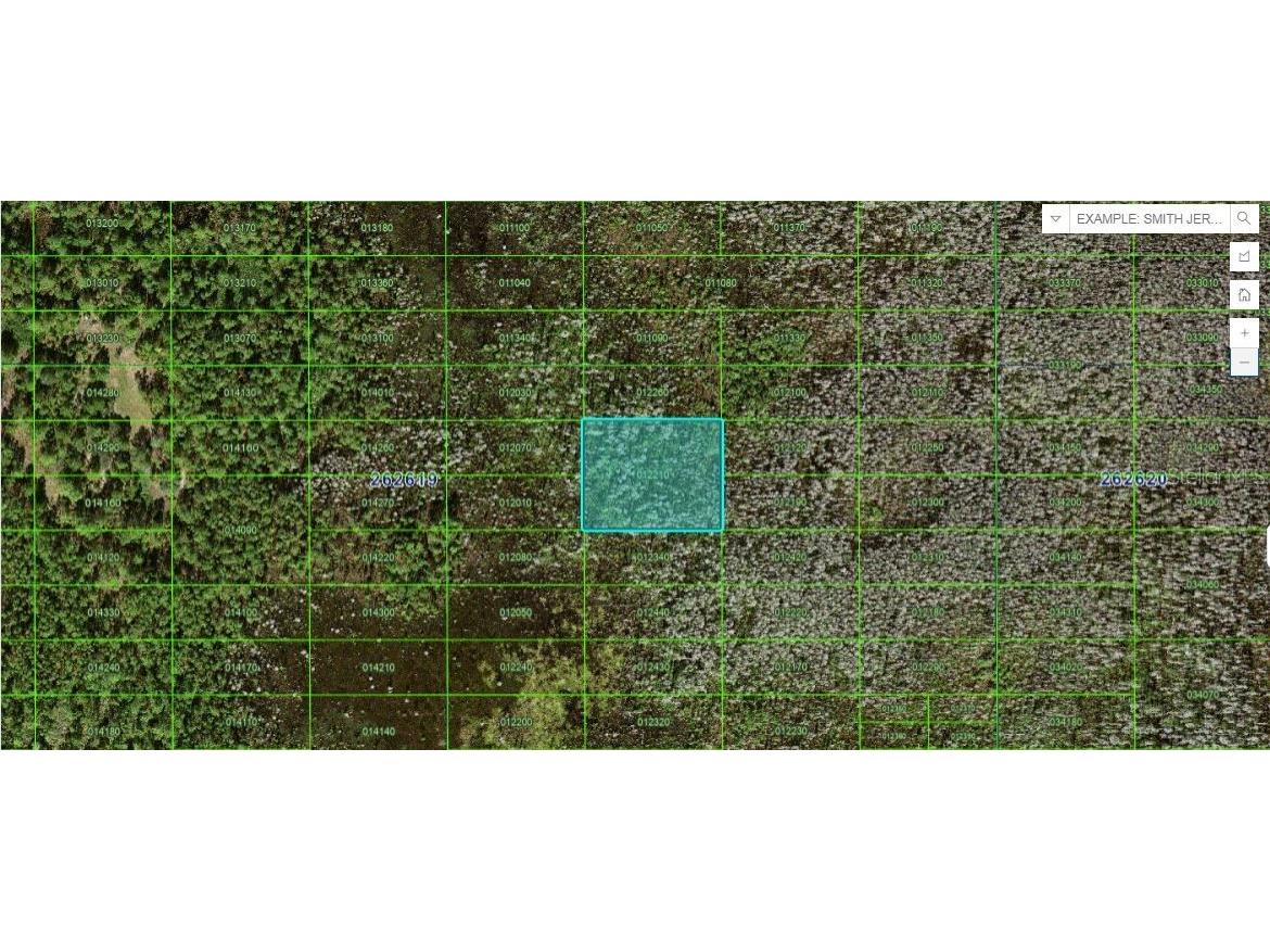 Old Grade Rd Polk City FL 33868 O6266204 image1