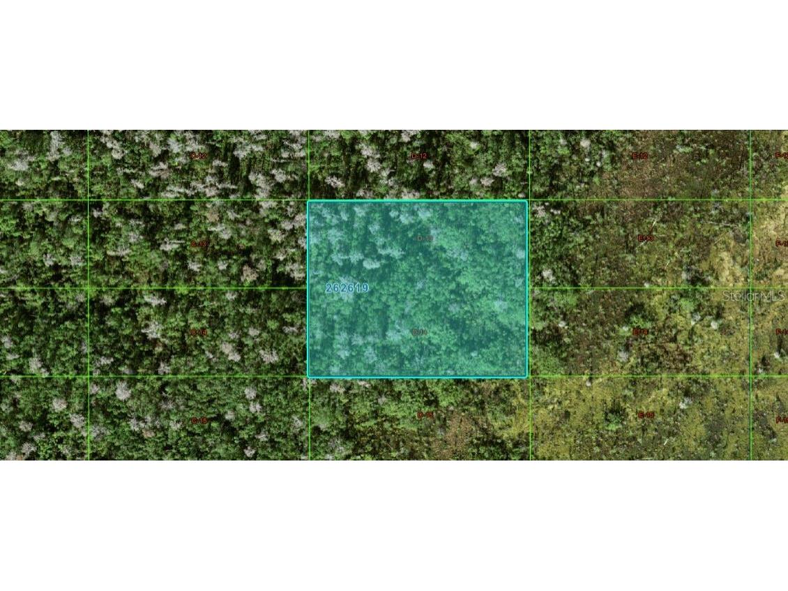 Old Grade Rd Polk City FL 33868 O6266208 image3