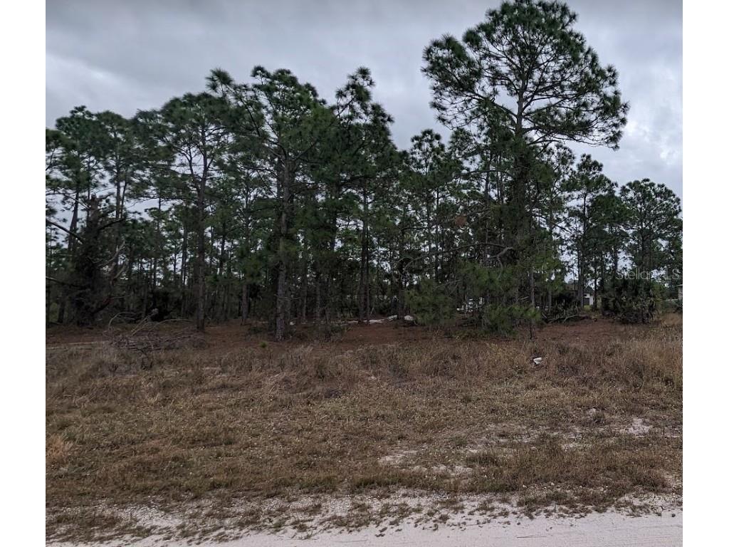 Old Grade Road, Polk City, FL, 33868 MLS O6197919 Edina Realty