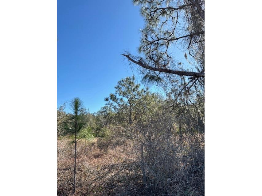 Old Grade Road Polk City FL 33868 L4959116 image1