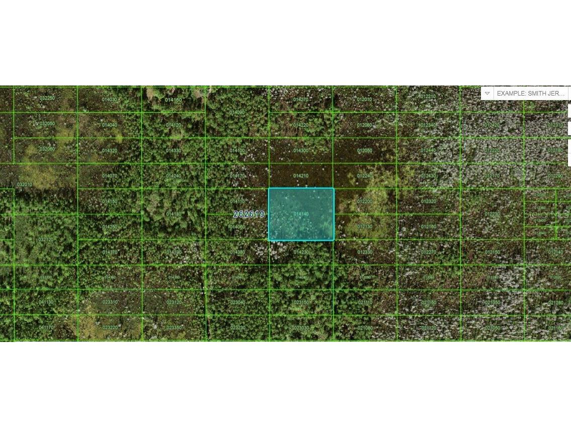 Old Grade Road Polk City FL 33868 O6266203 image1