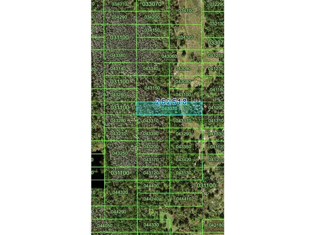 Old Grade Road Polk City FL 33868 P4931770 image2