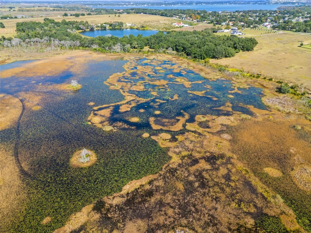 Old Grove Road Clermont FL 34711 O6361170 image7