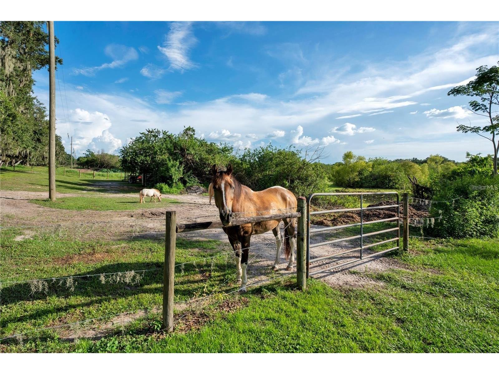 Old Homeland Road Bartow FL 33830 J996670 image1