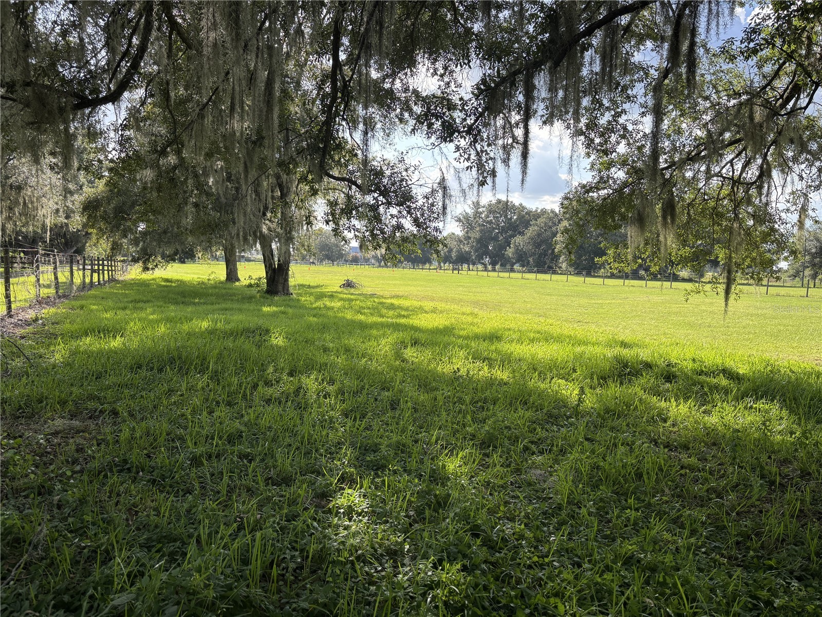 Old Lakeland Highway Dade City FL 33525 TB8532594 image5