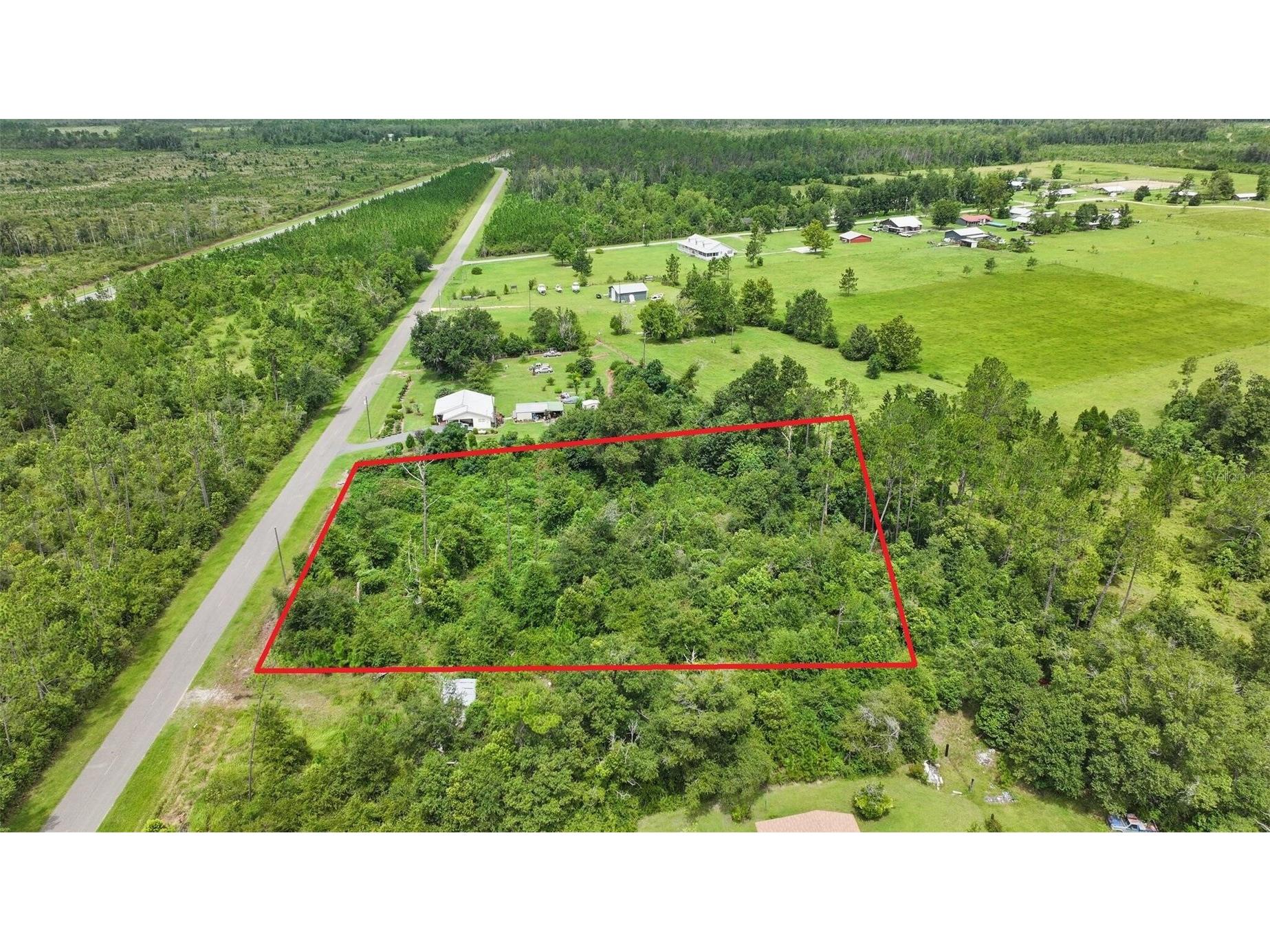 Old Panama Wewahitchka FL 32465 O6411859 image3