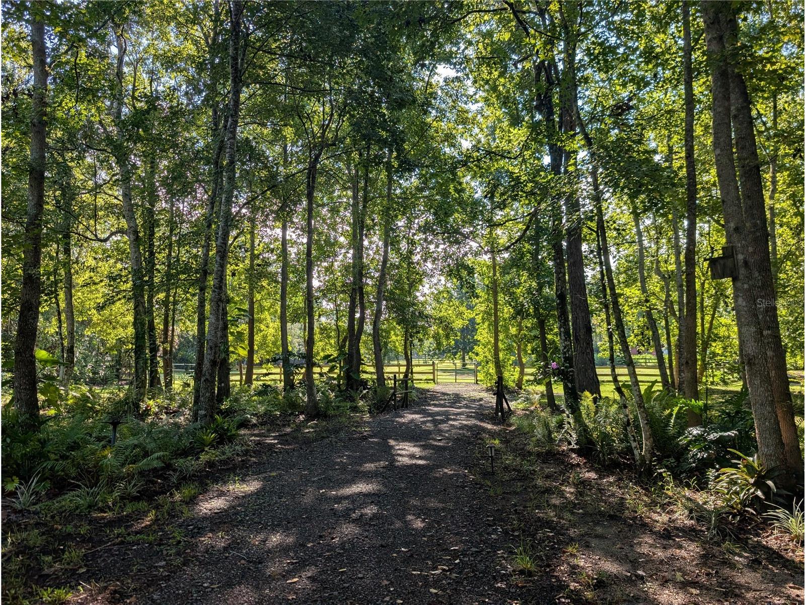 Old River Trail Chuluota FL 32766 O6339280 image10