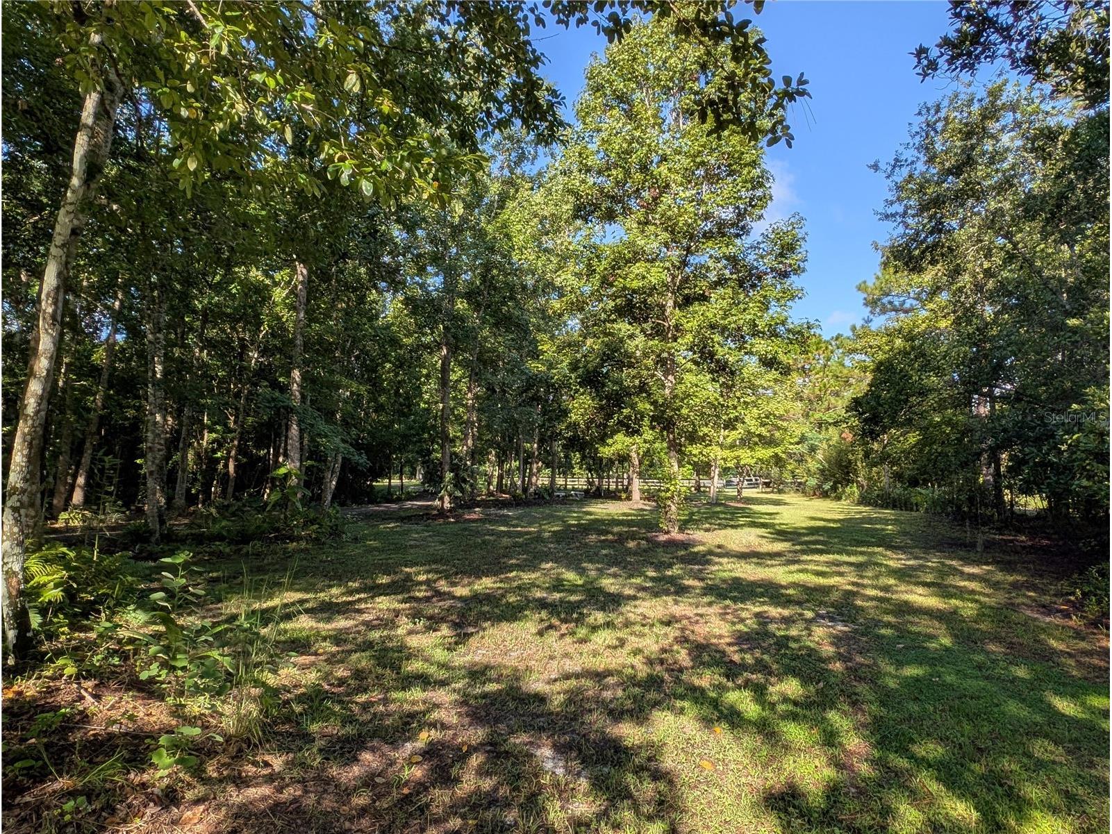 Old River Trail Chuluota FL 32766 O6339280 image2