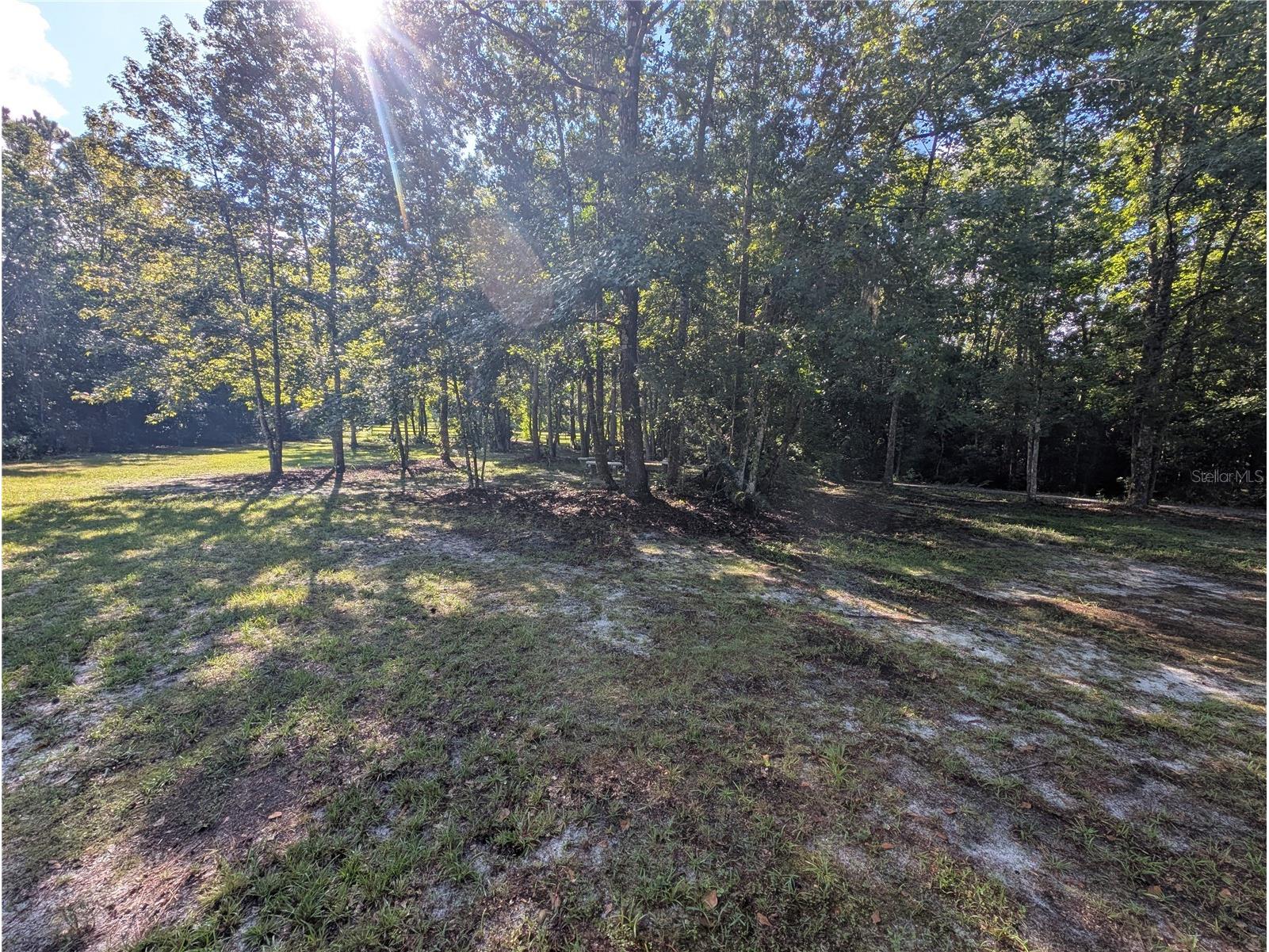 Old River Trail Chuluota FL 32766 O6339280 image7