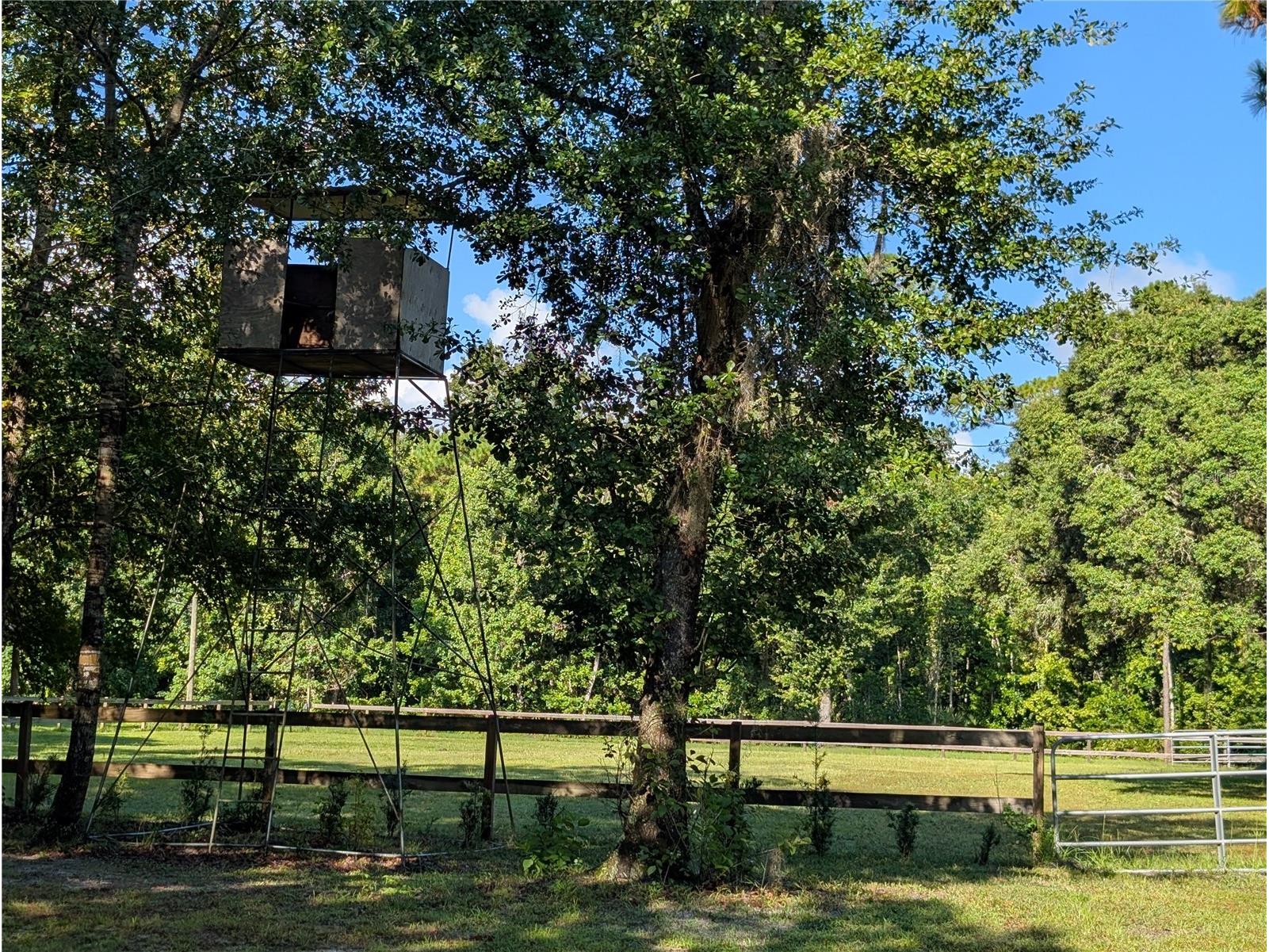 Old River Trail Chuluota FL 32766 O6339280 image8