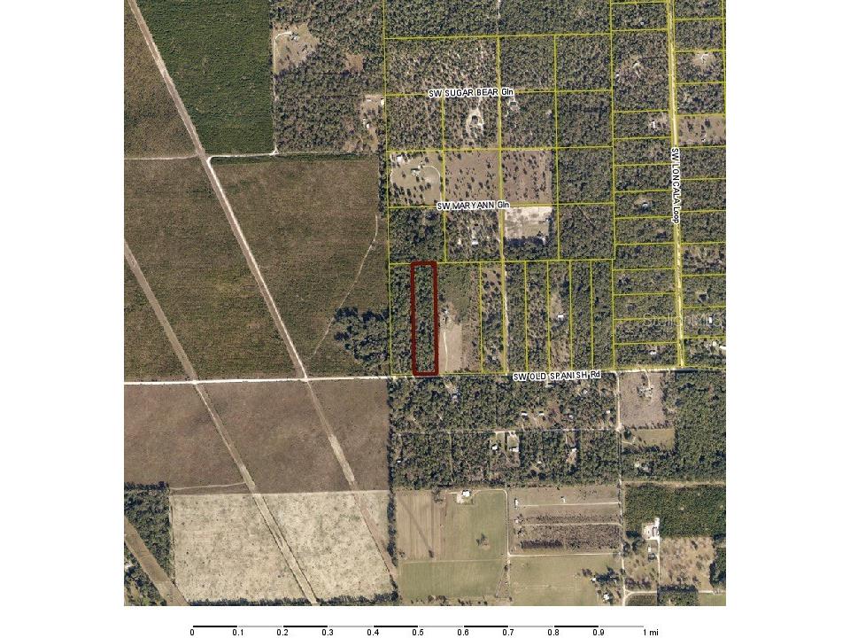 Old Spanish Rd Road SW Fort White FL 32038 TB8356901 image1
