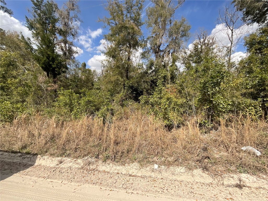 Old Spanish Rd Road SW Fort White FL 32038 TB8356901 image3