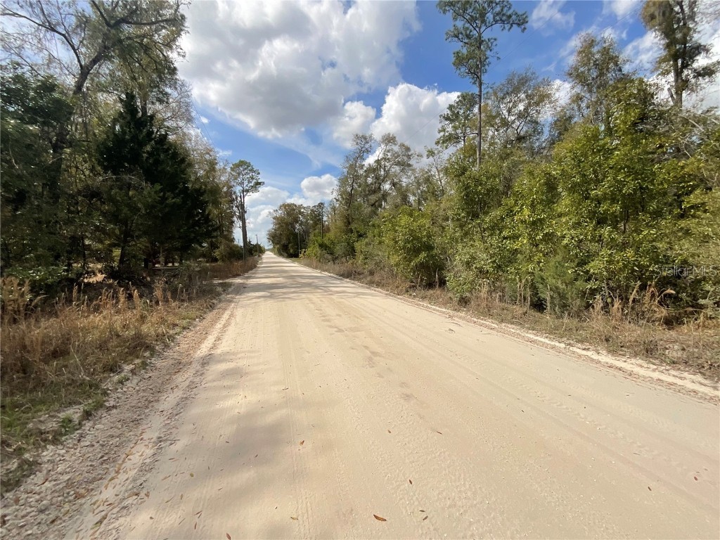 Old Spanish Rd Road SW Fort White FL 32038 TB8356901 image5