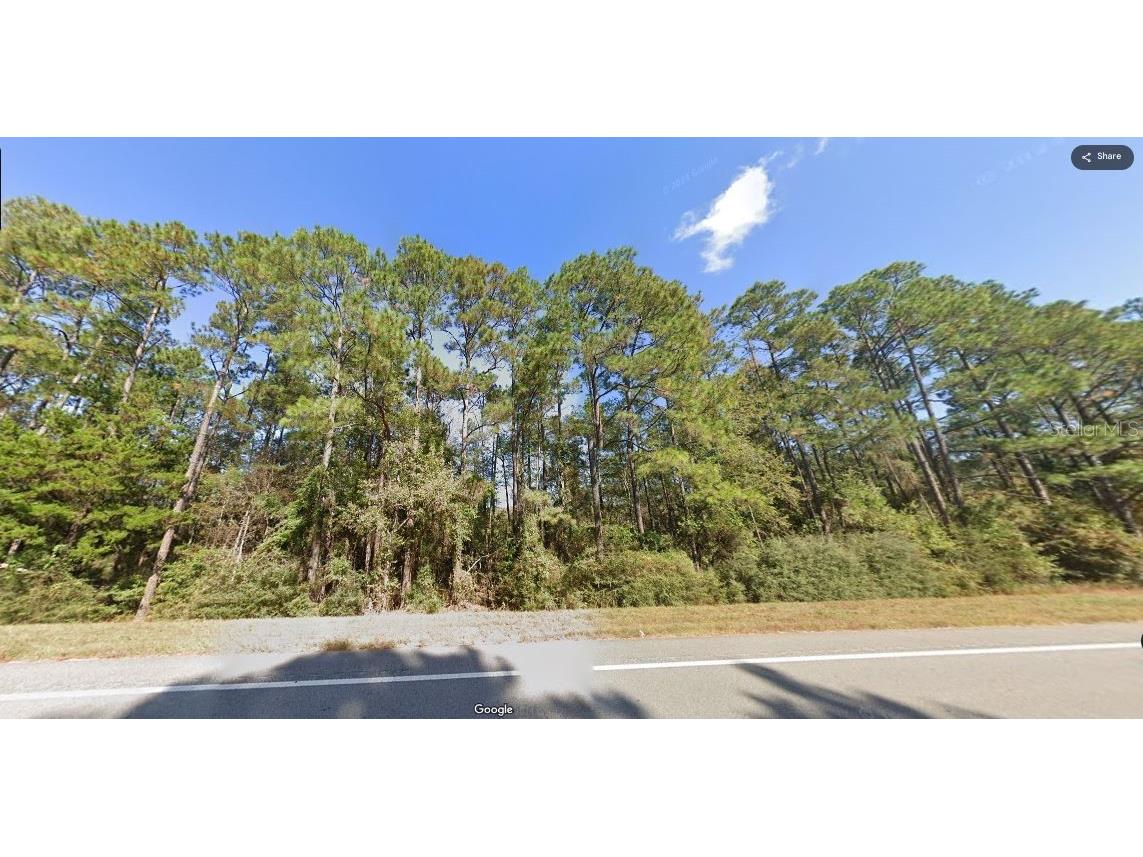 Old Spanish Trail Caryville FL 32427 O6227538 image2