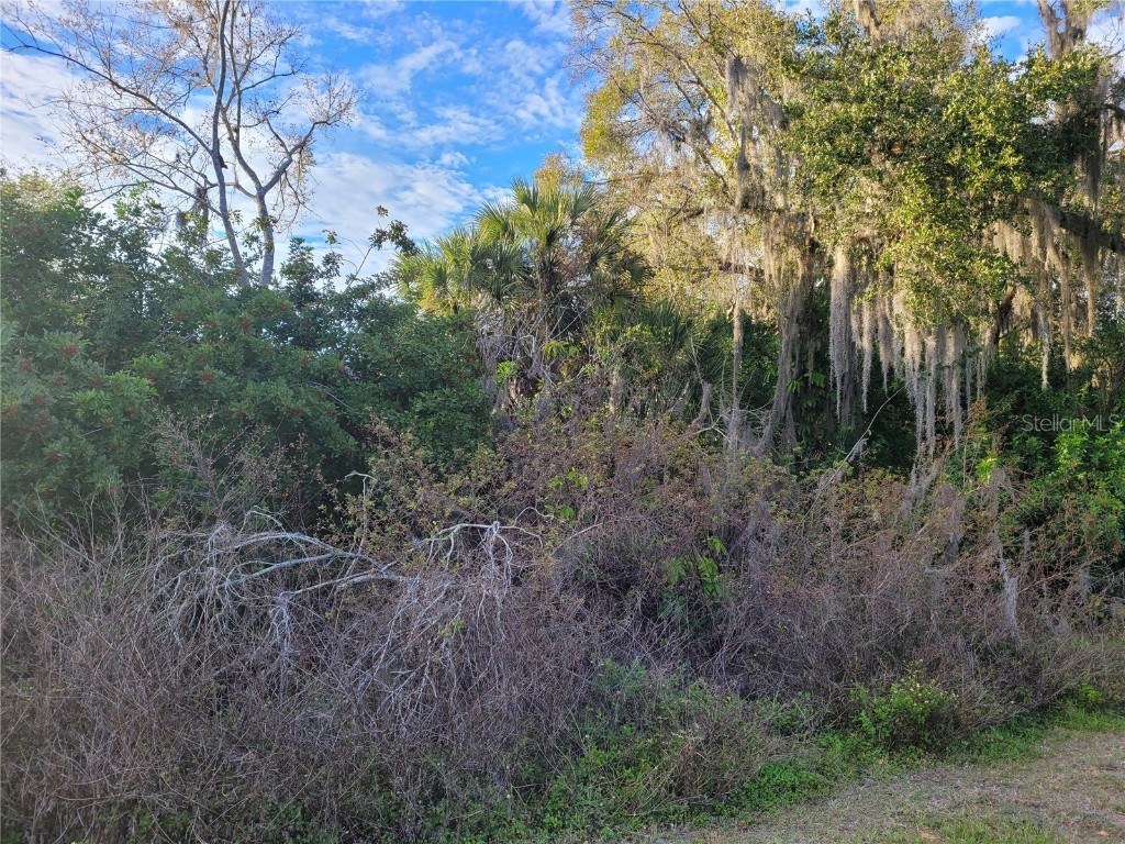 Old Trail #11 Nokomis FL 34275 A4522956 image1