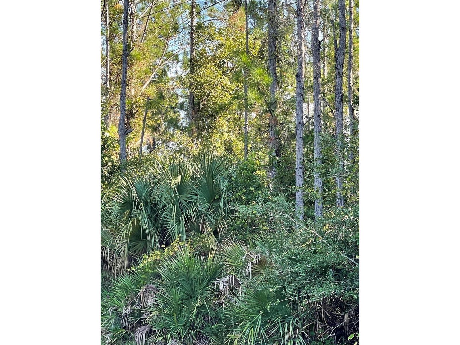 Old Train Road Deltona FL 32738 S5140904 image1