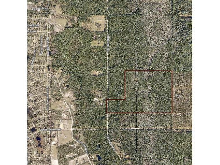 Old Train Road New Smyrna Beach FL 32168 W7872176 image1