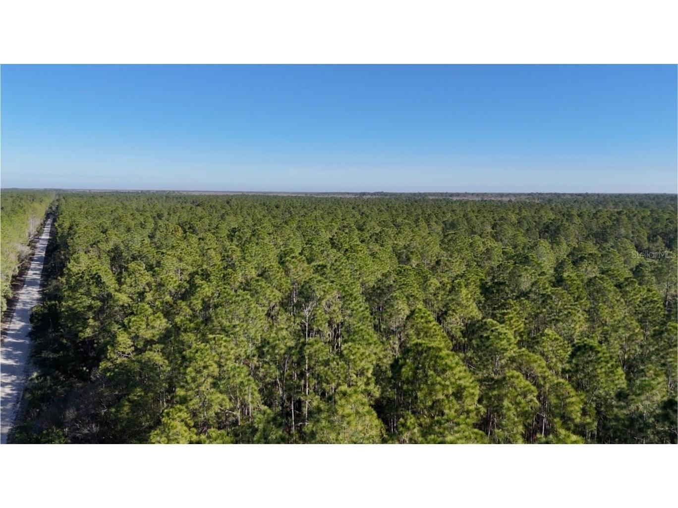 Old Train Road New Smyrna Beach FL 32168 W7872176 image2