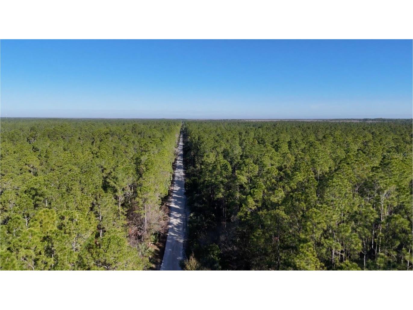 Old Train Road New Smyrna Beach FL 32168 W7872176 image3