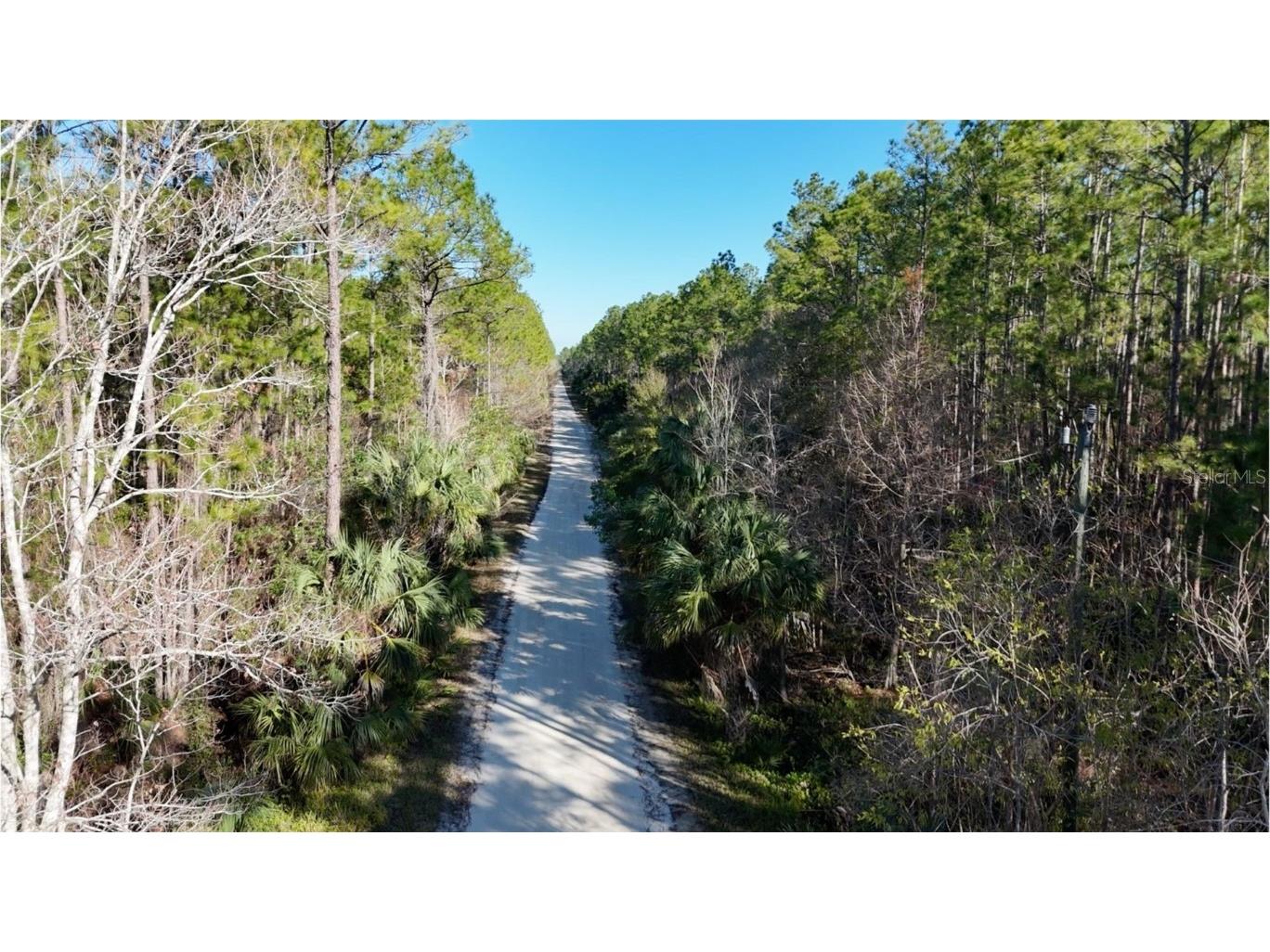 Old Train Road New Smyrna Beach FL 32168 W7872176 image4