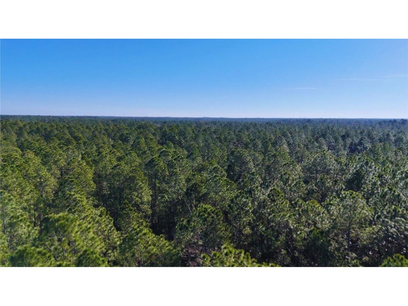 Old Train Road New Smyrna Beach FL 32168 W7872176 image6
