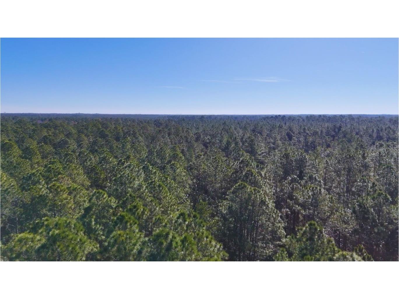 Old Train Road New Smyrna Beach FL 32168 W7872176 image8