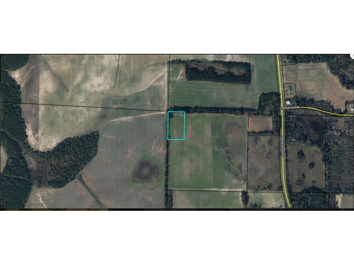Old U S Rd Marianna FL 32446 O6280061 image2