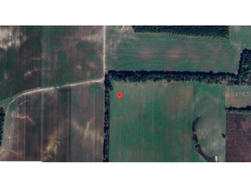 Old U S Rd Marianna FL 32446 O6280061 image8