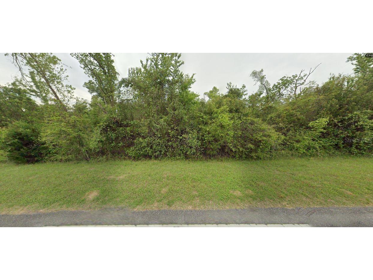 Old U S Rd Marianna FL 32446 O6280061 image9