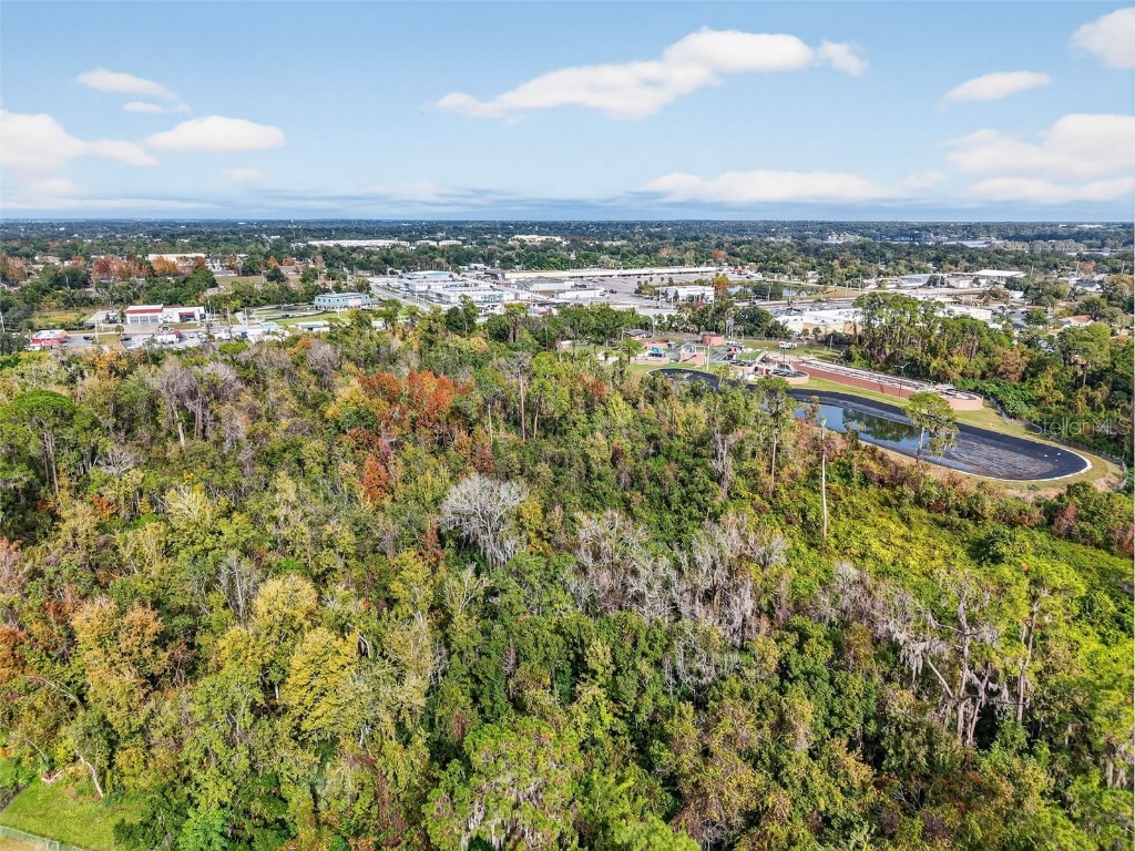 Old Us-441 W Mount Dora FL 32757 G5105330 image10