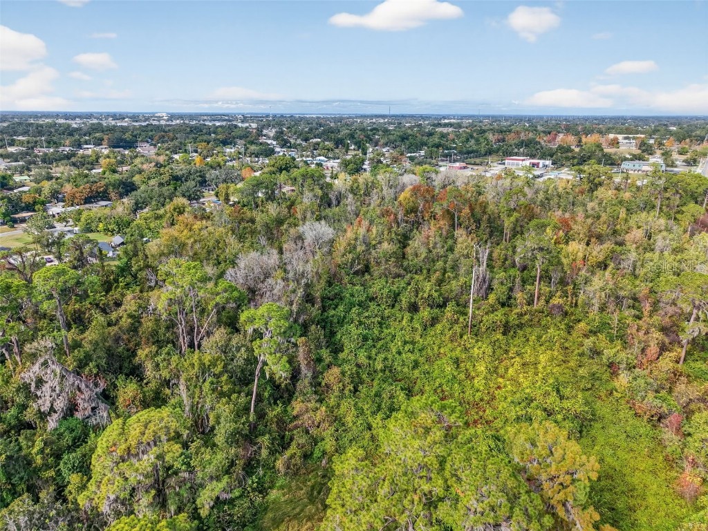 Old Us-441 W Mount Dora FL 32757 G5105330 image13