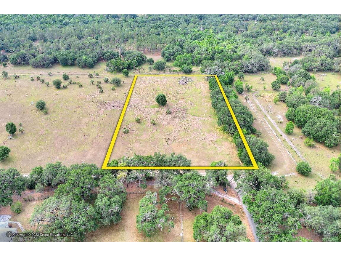 Old Welcome Road Lithia FL 33547 T3449525 image1