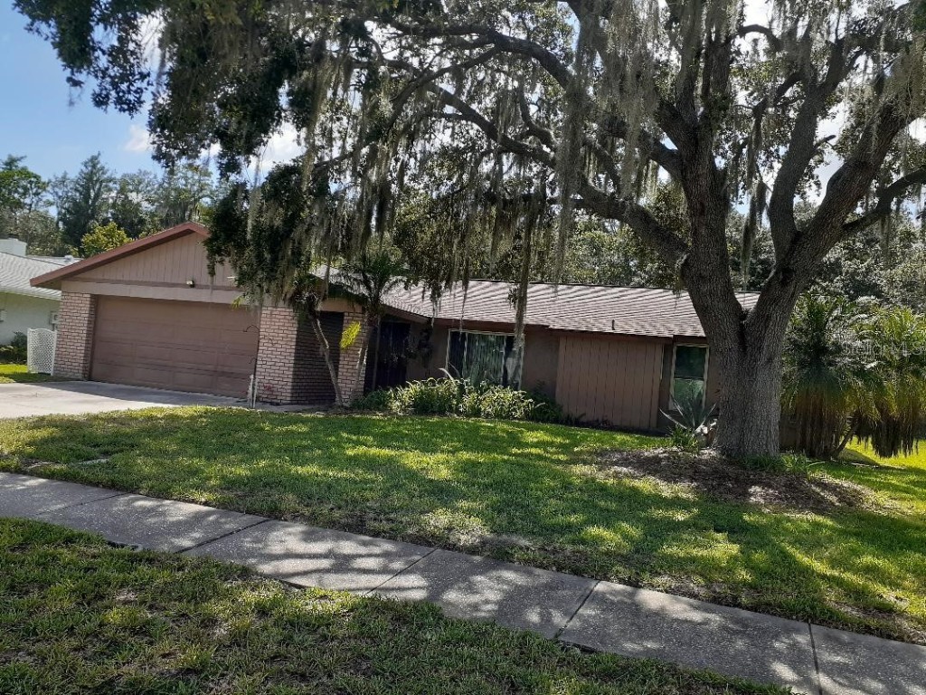  Oldsmar FL 34677 U8207359 image1