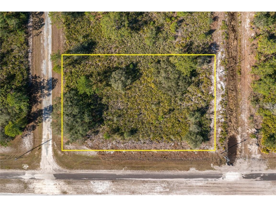 Oleander Drive Indian Lake Estates FL 33855 L4957408 image1