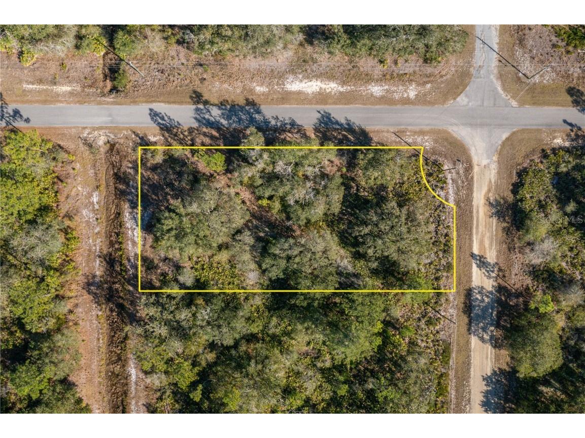 Oleander Drive Indian Lake Estates FL 33855 L4957419 image1