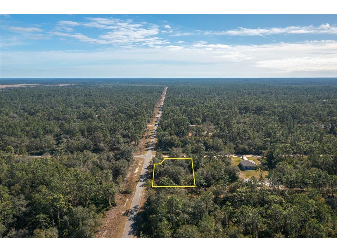 Oleander Drive Indian Lake Estates FL 33855 L4957419 image13