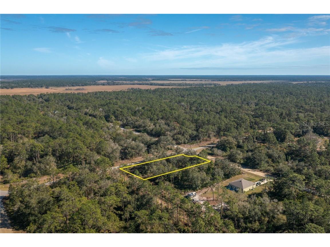 Oleander Drive Indian Lake Estates FL 33855 L4957419 image5