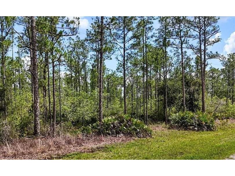 Oleander Drive Indian Lake Estates FL 33855 O6229434 image2