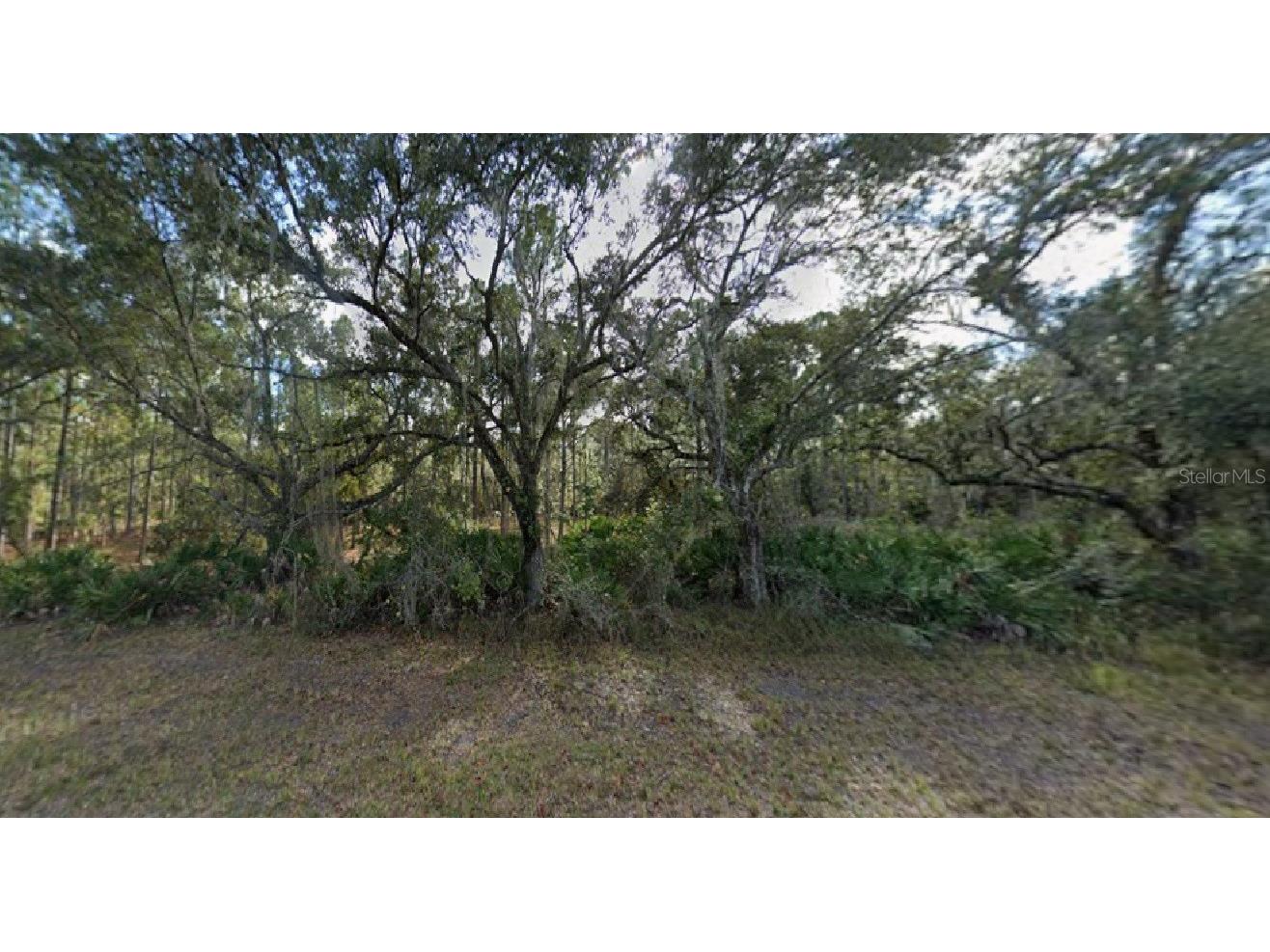 Oleander Drive Indian Lake Estates FL 33855 R4910638 image1