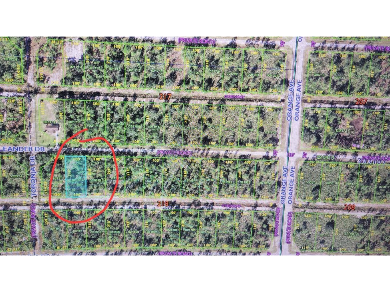 Oleander Drive Indian Lake Estates FL 33855 - LAKE WALK IN WATER S5113301 image4