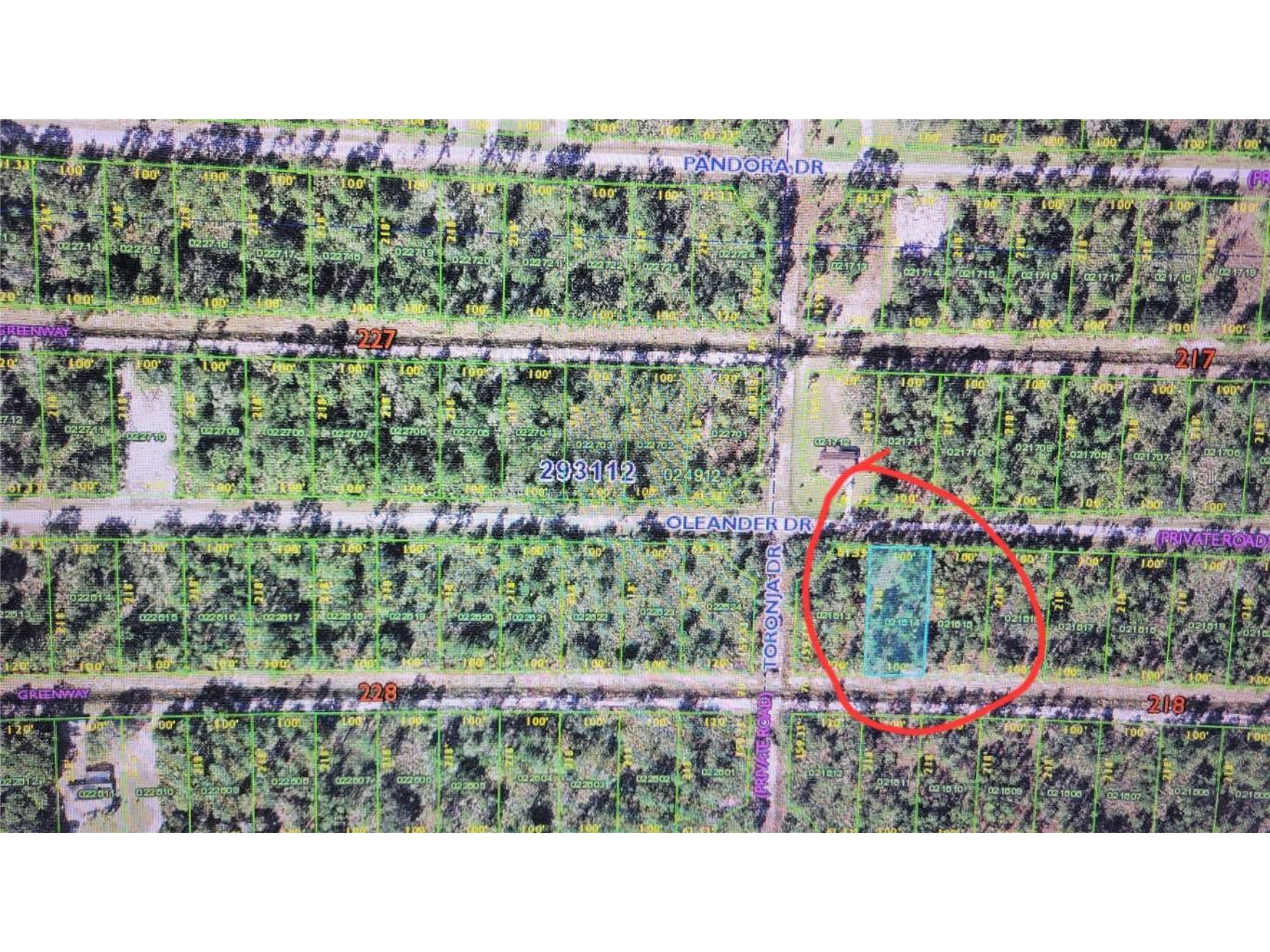 Oleander Drive Indian Lake Estates FL 33855 - LAKE WALK IN WATER S5113301 image5