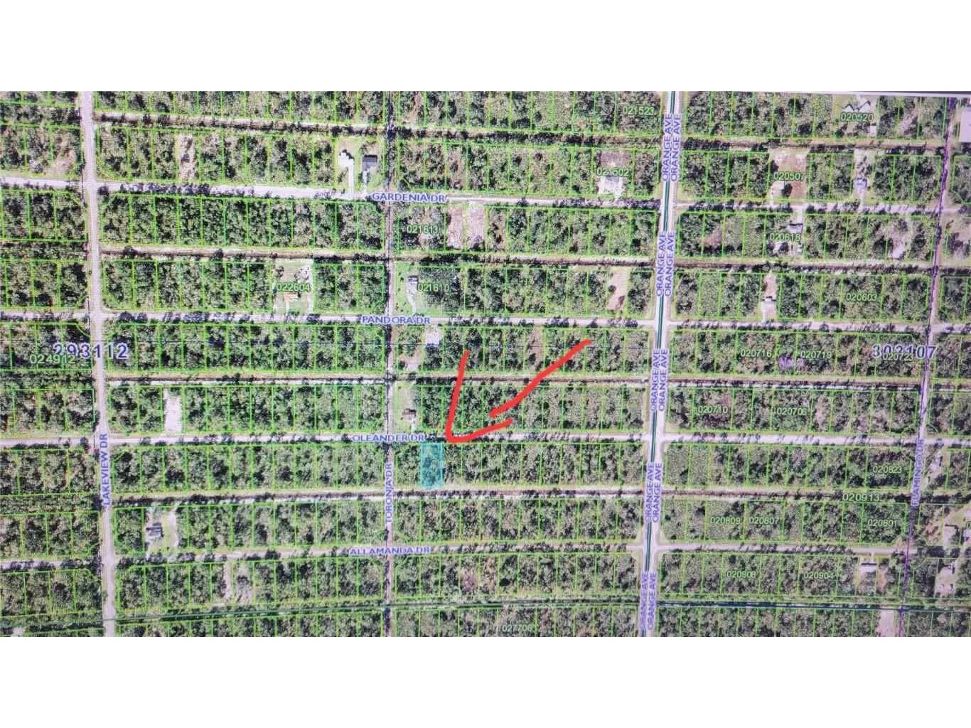 Oleander Drive Indian Lake Estates FL 33855 - LAKE WALK IN WATER S5113301 image6