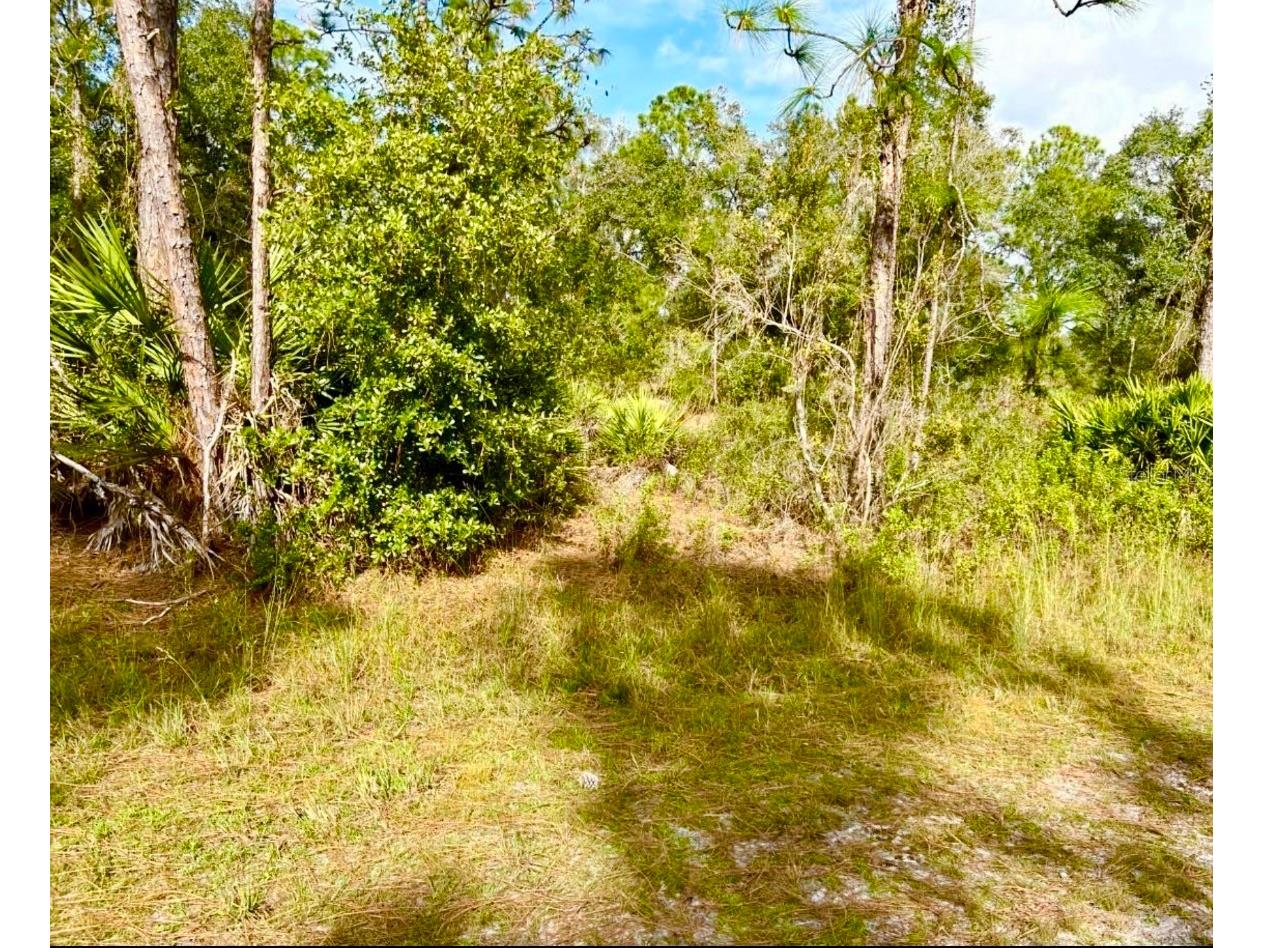 Oleander Drive Indian Lake Estates FL 33855 TB8361554 image1