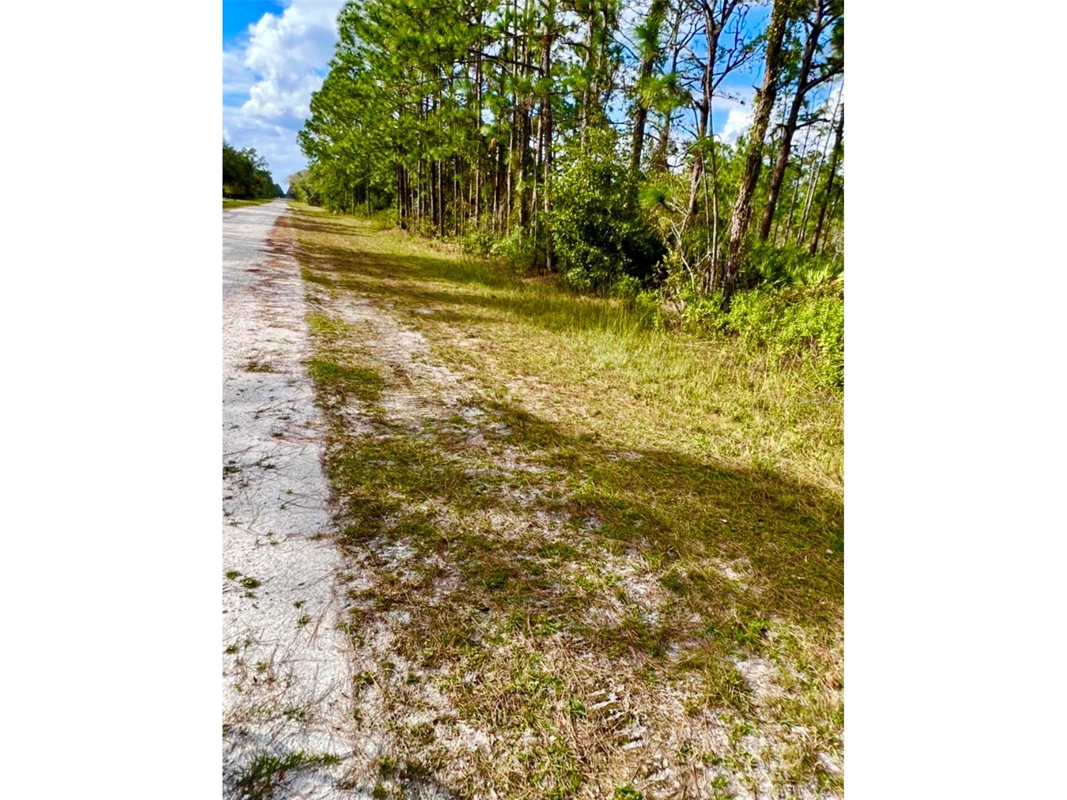 Oleander Drive Indian Lake Estates FL 33855 TB8361554 image3