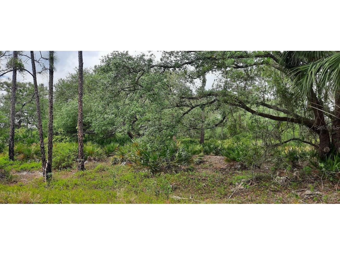 Oleander Drive Indian Lake Estates FL 33855 - LAKE WALK-IN-WATER TB8365881 image1