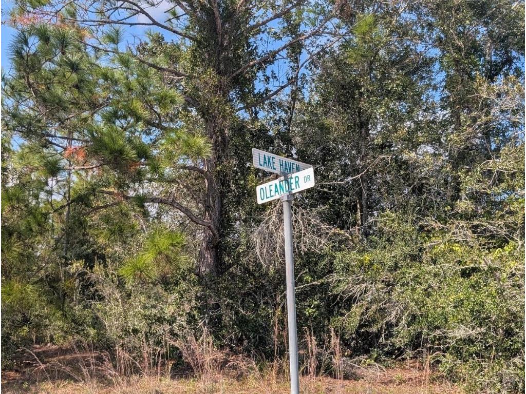 Oleander Drive Indian Lake Estates FL 33855 - LAKE WALK-IN-WATER TB8446822 image1