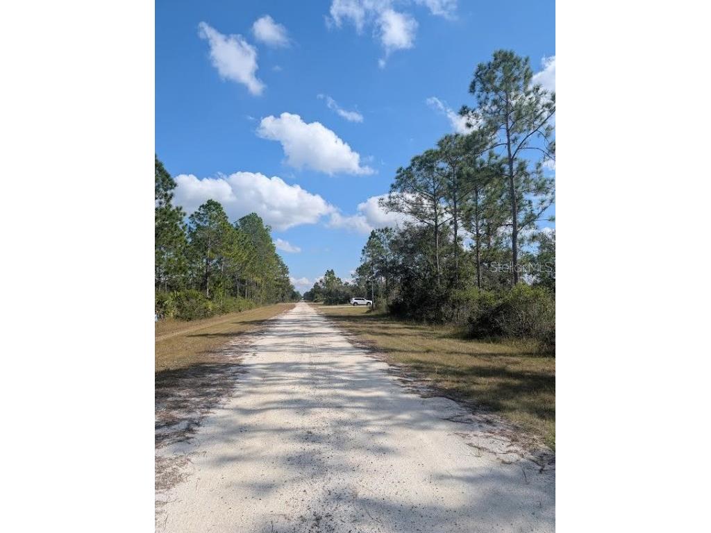 Oleander Drive Indian Lake Estates FL 33855 - LAKE WALK-IN-WATER TB8446822 image6