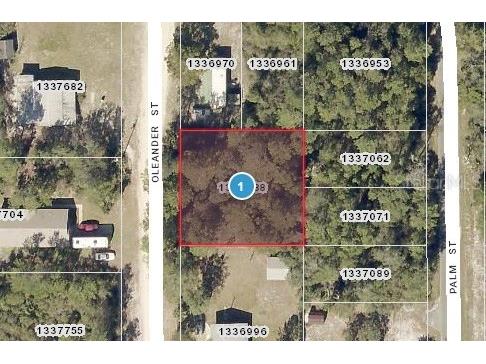 Oleander Street Paisley FL 32767 O6103233 image1