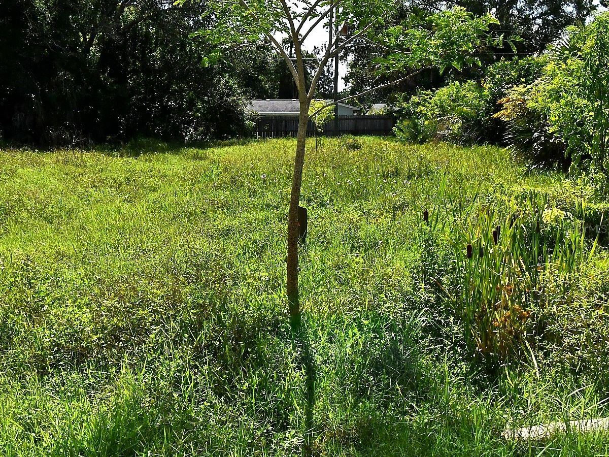 Olive Avenue Nokomis FL 34275 N6142775 image1